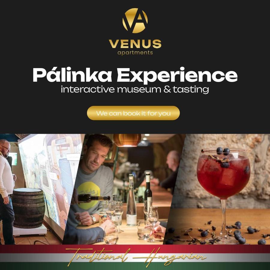 Venus Apartments - Dohany Street I Budapeszt Zewnętrze zdjęcie